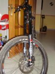 DSC02390.jpg