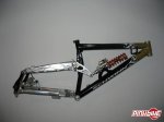 pbpic951896.jpg