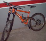 DSC00919.jpg