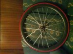 DSC00180.jpg