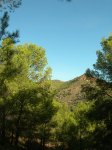 DSCN6042.JPG