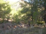 DSCN6044.JPG