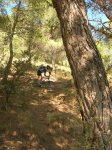 DSCN6057.JPG