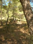 DSCN6058.JPG