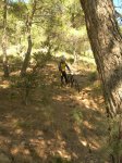 DSCN6077.JPG