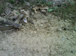 DSC00503.jpg