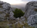 08102008423.jpg