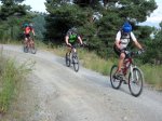 IMG_0084.jpg