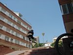 p1010033.jpg