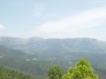 DSC02670.jpg