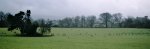 paisaje.jpg
