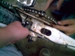 PICT0004.jpg
