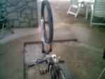 PICT0006.jpg