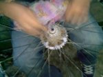 PICT0010.jpg