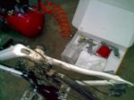 PICT0011.jpg