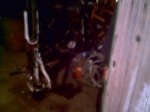 PICT0019.jpg