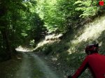 foromtb_image_5oct_03_num.jpg