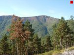 foromtb_image_5oct_05_num.jpg