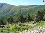 foromtb_image_5oct_07_num.jpg