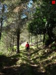 foromtb_image_5oct_08_num.jpg