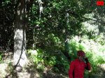 foromtb_image_5oct_09_num.jpg