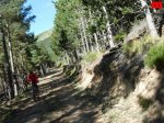 foromtb_image_5oct_10_num.jpg
