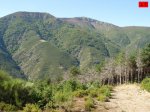 foromtb_image_5oct_15_num.jpg