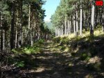 foromtb_image_5oct_17_num.jpg