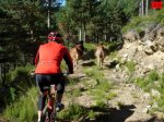 foromtb_image_5oct_19_num.jpg