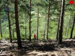 foromtb_image_5oct_20_num.jpg