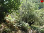 foromtb_image_5oct_30_num.jpg