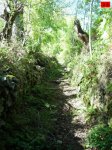 foromtb_image_5oct_32_num.jpg