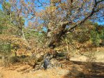 DSCN1842.JPG
