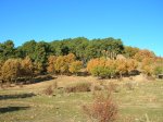 DSCN1852.JPG
