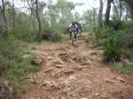 sierro 012.jpg