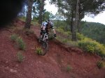 sierro 020.jpg