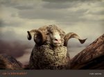 wallpaper_1024x768_ewenfront.jpg