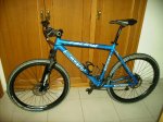 scott 005.jpg