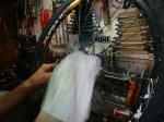 DSC09017.JPG