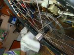 DSC09018.JPG