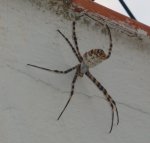 DSC09056.JPG