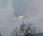 DSC09057.JPG