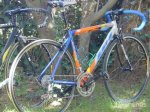 ultegra.jpg
