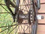 DSC02234.jpg