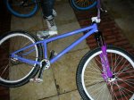 DSCN2545.jpg