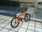 DSC01042.jpg