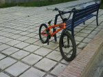 DSC01041.jpg