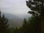DSC00377.jpg