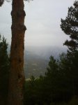 DSC00379.jpg