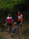 collserolaOCT2008.jpg